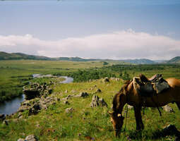 Ratsastusmatkailijan Mongolia (osa 1)