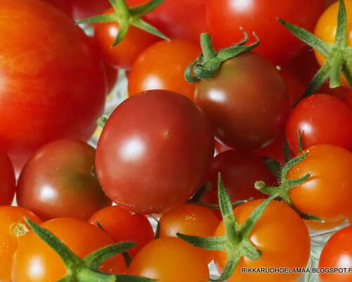 Tomaattinen suunnitelma kera muutaman kurkun