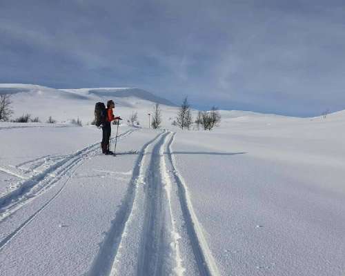 Vaellus Norjan halki hiihtäen – Norge på Lang...