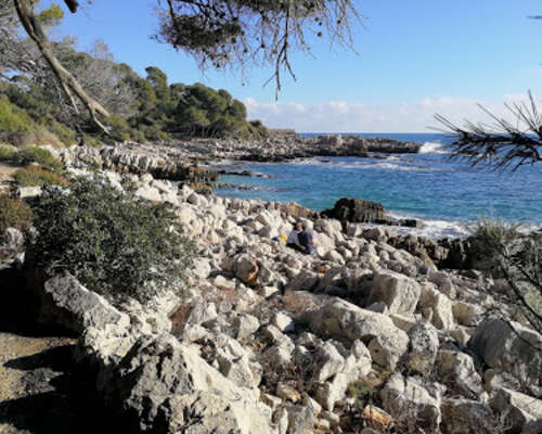 Cap d'Antibesin rosoisen kauniita näkymiä