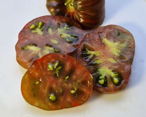 Vuoden ensimmäiset maistiaiset tomaatista!