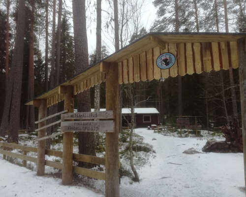 Pyhä-Häkki kansallispuisto