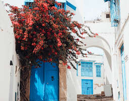 Sidi Bou Said – sinivalkoinen kaupunki kukkul...