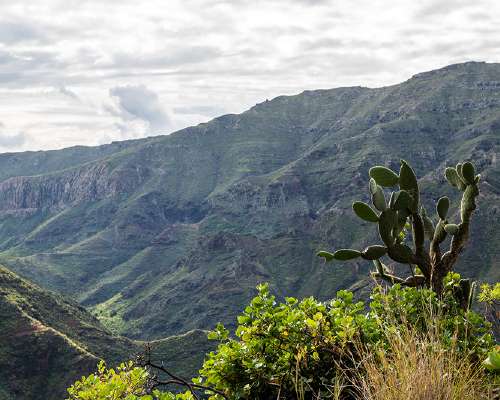 La Gomera – Kanariansaarten vehrein saari