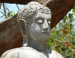 Anuradhapura, pyhä kaupunki - The Sacred City