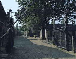 Auschwitz - Birkenau, ei koskaan enää