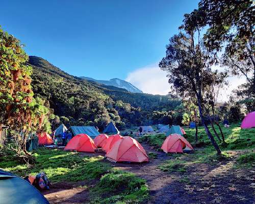 Mount Kilimanjaro 5895m, päivät 2-3