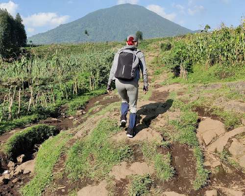 Ruandan päiväkirja, osa 8 - Mount Bisoke 3711m