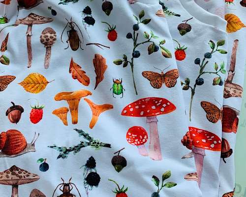 Sieniä & ötököitä paidoissa