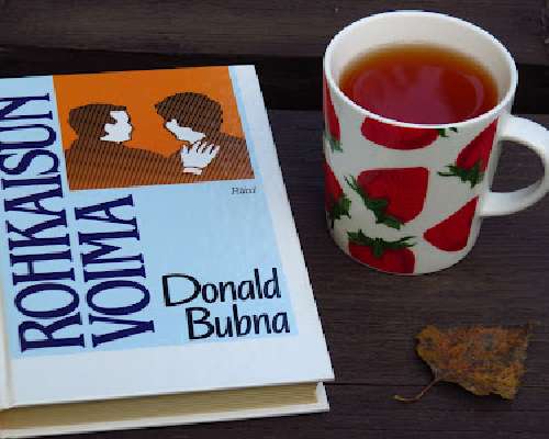 Donald Bubna: Rohkaisun voima