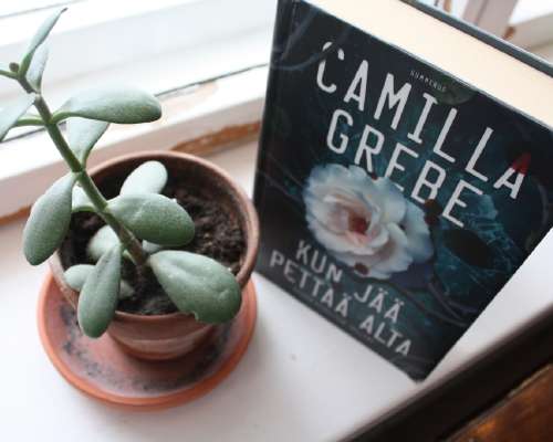 Camilla Grebe: Kun jää pettää alta