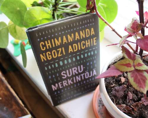 Chimamanda Ngozie Adichie: Surumerkintöjä