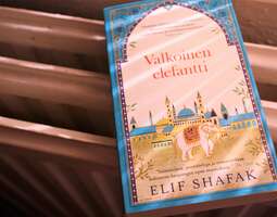 Elif Shafak: Valkoinen elefantti