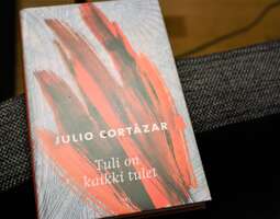 Julio Cortázar: Tuli on kaikki tulet