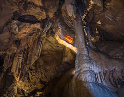 Mammoth caven kansallispuisto & spontaanikoht...