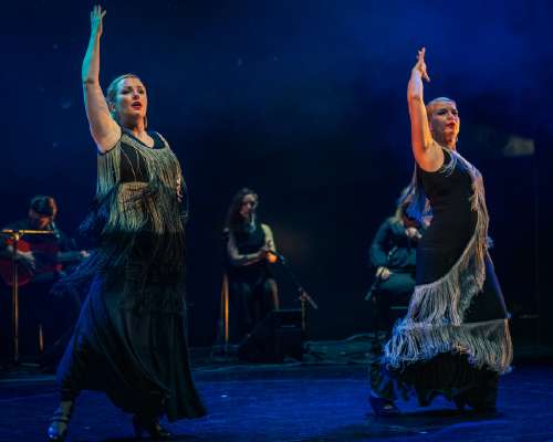 Nordic Flamenco: Northern Pulse