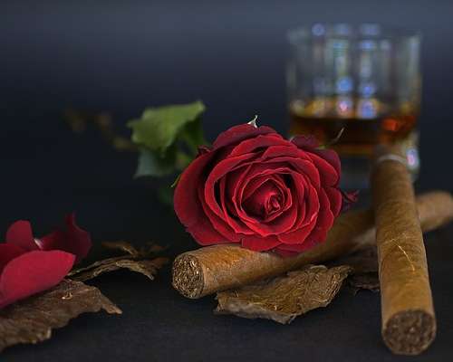 Kaksinaismoralismin kukkanen: alkoholi vs. tupakka