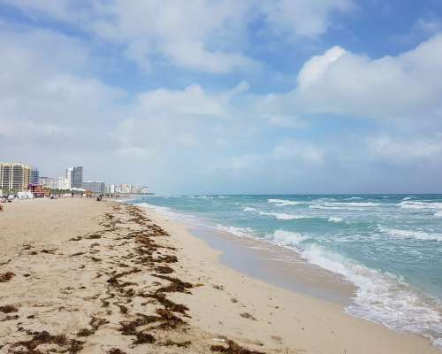 Karibianmeren risteily Miamista Meksikoon