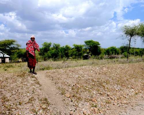 Tanzania continued: Tarangine National Park