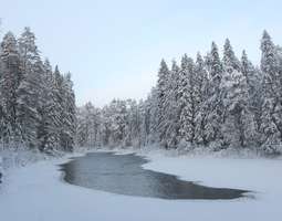Koitajoki - rento lasku talvivaelluskauteen