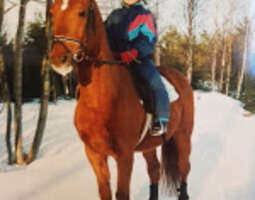 Hevoselämää- oli koko elämäni.
