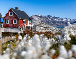 Expedition Greenland - photo diary 1