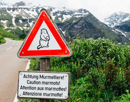 Road trip in Austria - Grossglockner High Alp...