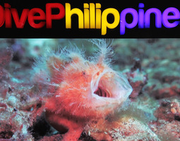 DRT Dive Expo Philippines 2015