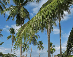 Palawan valittiin maailman parhaaksi saareksi...