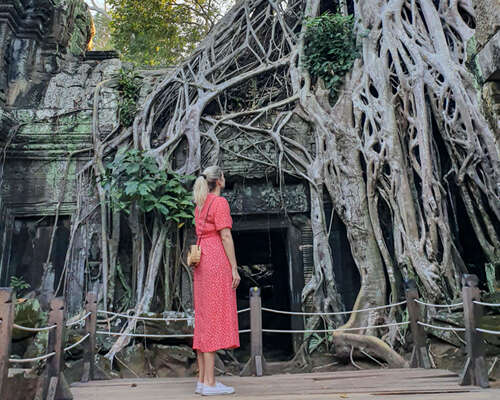 Angkorin temppelit & päivä jolloin tarvittiin...