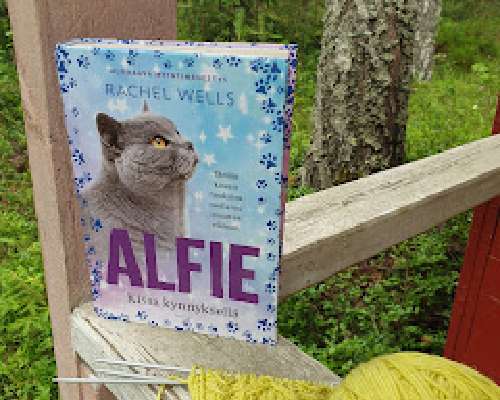 Rachel Wells: Alfie - kissa kynnyksellä