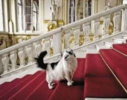The Hermitage is full of cats - but you don't...