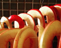 Omenoiden kuivaaminen +sadonkorjuumysli
