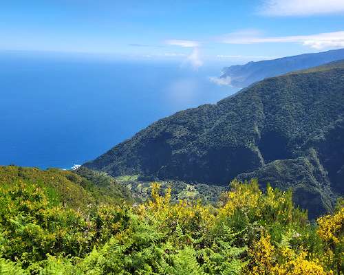 Lyhyt patikointi Madeiralla: Fanal - Fio
