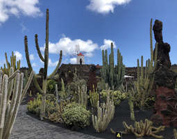 Lanzarote, Jardin de Cactus – Kaktusmania