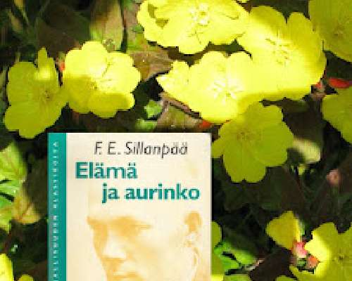 F. E. Sillanpää: Elämä ja aurinko