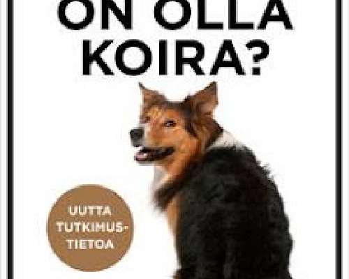 Helena Telkänranta: Millaista on olla koira?
