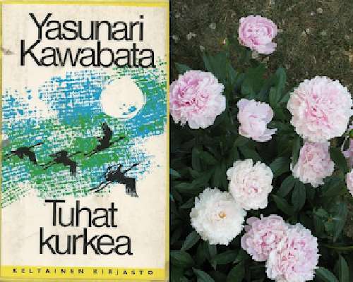 Yasunari Kawabata: Tuhat kurkea