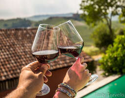 Viinimatkalla Piemontessa