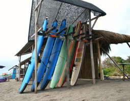 'Surffialokkaana' Balilla