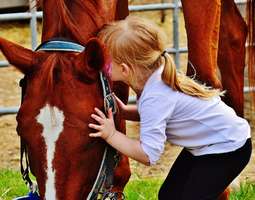 Benefits of horseback riding for special need...