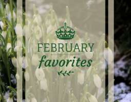 February’s favorites: motherhood, humour, and...