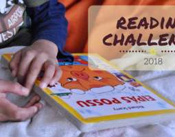 The Reading Challenge 2018 continues…