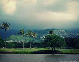 Green Maui Hills
