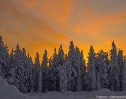 Sunset in Finnish Lapland
