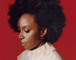 Idoli: Chimamanda Ngozi Adichie
