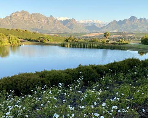 Stellenbosch – Etelä-Afrikan upeat viinimaat