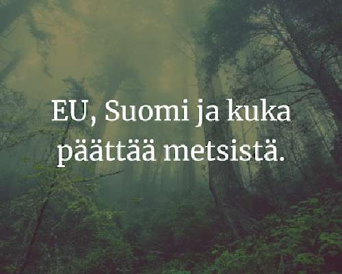 EU:n pitää rajoittaa Suomen metsien käyttöä