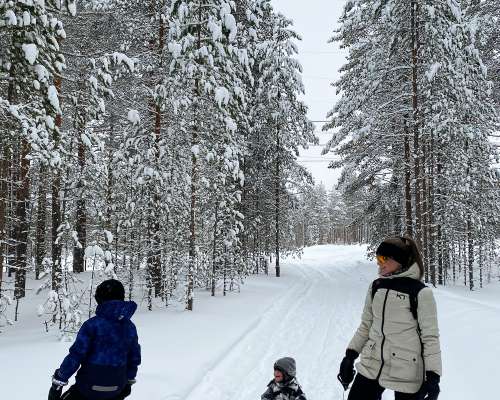 Talvilomatekemistä Oulun seudulla