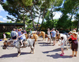 Zafiro Mallorca on lapsiperheiden lomaparatiisi